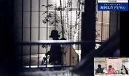 文春周刊最新爆料事件,最新爆料事件引发娱乐圈轩然大波