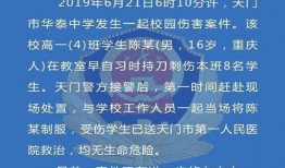 湖北最新爆料案件新闻,惊天大案震惊全国，案情细节披露！