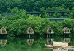 2k24年卡最新爆料