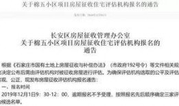 石家庄棉五最新爆料,揭秘项目进展与未来规划