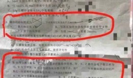 网络爆料东莞最新消息,聚焦城市动态与热点事件