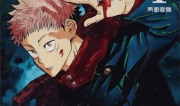 咒术回战最新爆料动漫免费观看,免费观看动漫，揭秘神秘咒术世界！