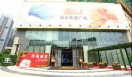 深圳横岗最新爆料,揭秘深圳横岗发展新动向与未来蓝图