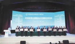 江门新会新闻爆料事件最新,真相揭晓，疑云散去！