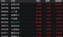 中国芯片大爆料最新消息