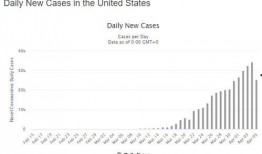 美国最新爆料疫情