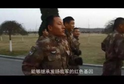 老兵爆料视频大全最新,视频大全中的真实战地故事与英勇瞬间