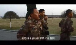 老兵爆料视频大全最新,视频大全中的真实战地故事与英勇瞬间