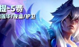 云顶s11最新爆料五费卡剑圣,云顶S11五费卡新霸主揭秘