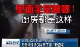 油车港最新爆料黑榜,黑榜曝光，揭秘行业乱象