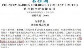 碧桂园爆料最新公告