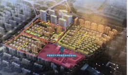 西海岸楼市爆料最新情况,揭秘价格波动与热门项目盘点