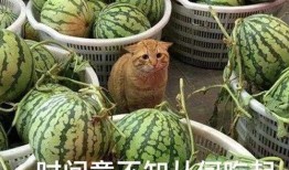 武汉爆料最新吃瓜视频,揭秘幕后真相，一探究竟！