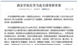 西京最新爆料事件,揭秘事件背后惊人真相