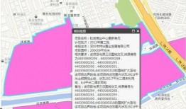 沙井卓越爆料最新消息