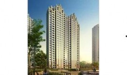 石家庄保利拉菲最新爆料,揭秘高端生活新地标