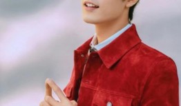 肖战粉粉最新爆料,揭秘肖战幕后故事