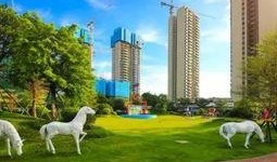 碧桂园新闻爆料最新消息,揭秘新项目进展与战略布局