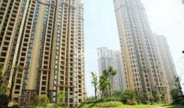 芜湖龙凤佳苑最新爆料