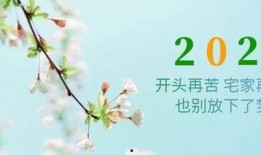 关于花季节最新爆料的文案,揭秘最新花季节秘闻大揭秘