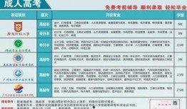 广东省新闻爆料汇总最新,聚焦热点事件与民生动态