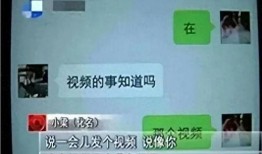 淄博最新爆料消息视频,视频揭秘城市新动态