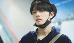 肖战粉粉最新爆料,揭秘肖战幕后故事