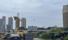 泰安华侨城爆料事件最新,真相与争议交织的幕后真相揭露