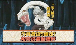 七月高招s最新爆料,揭秘热门专业录取内幕与趋势