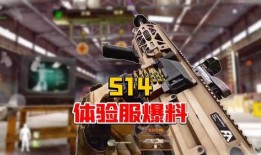 突围体验服最新爆料,揭秘神秘技能与战术革新