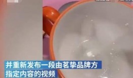 糖水燕窝爆料最新消息,揭秘行业黑幕与真实功效