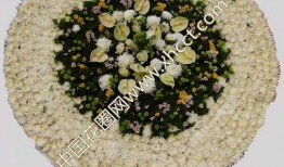 花篮网最新爆料网站,最新爆料网站内幕大曝光